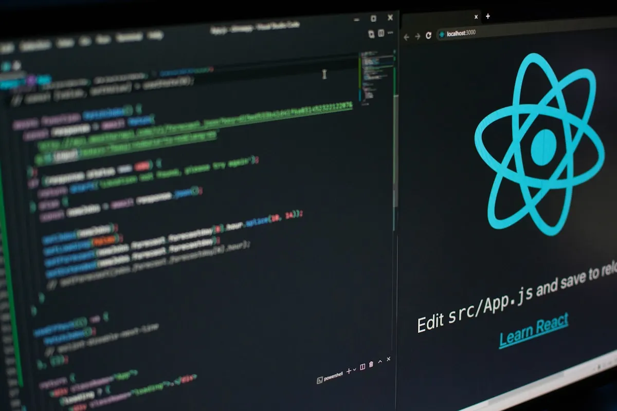 React framework development environment