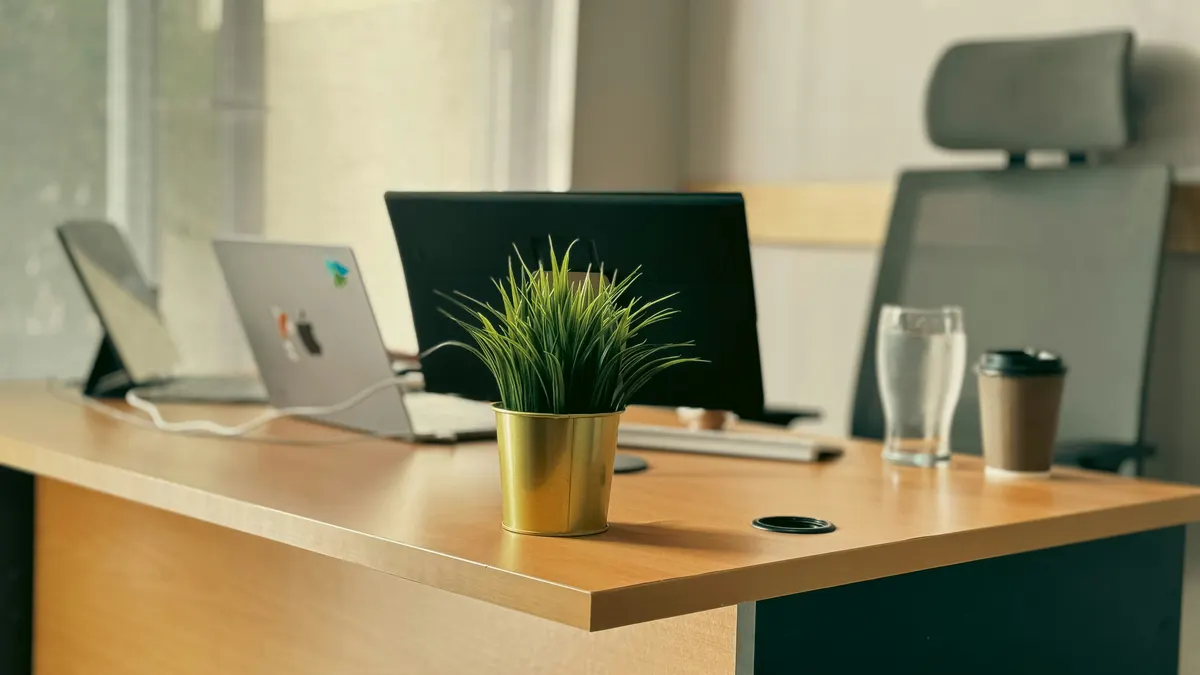 Clean minimal desk setup with laptop and small plant, representing focused workspace